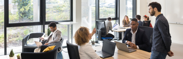 Ouverture des cursus